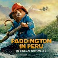 Noticia Nuestro oso favorito llega a Sudamérica en el tráiler de 'Paddington en Perú'