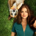 Noticia Puppy Love: Un amor inesperado entre huellas
