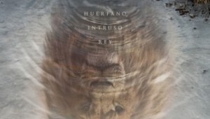 Nuevo trailer: Mufasa, la historia épica de un huérfano convertido en líder