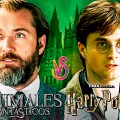 Noticia Jude Law señala que la serie de 'Harry Potter' es la responsable del cierre de 'Animales fantásticos'.