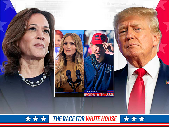 Famosos de Hollywood que apoyan a Harris y Trump en la contienda presidencial