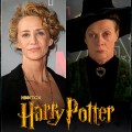 Noticia Janet McTeer será la profesora McGonagall en 