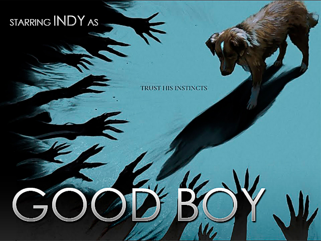 Primer tráiler de 'Good Boy' con una de las propuestas más destacadas del año, terror desde la mirada de un perro