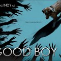 Noticia Primer tráiler de 'Good Boy' con una de las propuestas más destacadas del año, terror desde la mirada de un perro