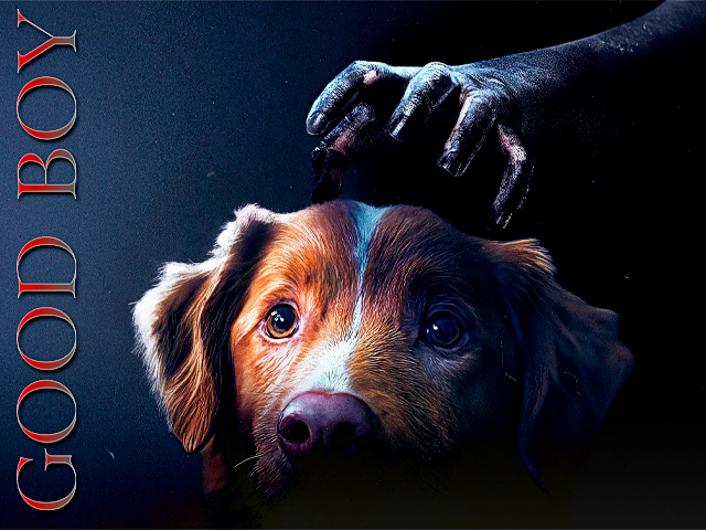 El perro de 'Good Boy' sorprende: nominado a Mejor Interpretación frente a Ethan Hawke y Sophie Thatcher