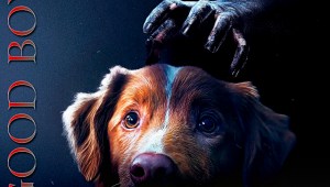 El perro de 'Good Boy' sorprende: nominado a Mejor Interpretación frente a Ethan Hawke y Sophie Thatcher