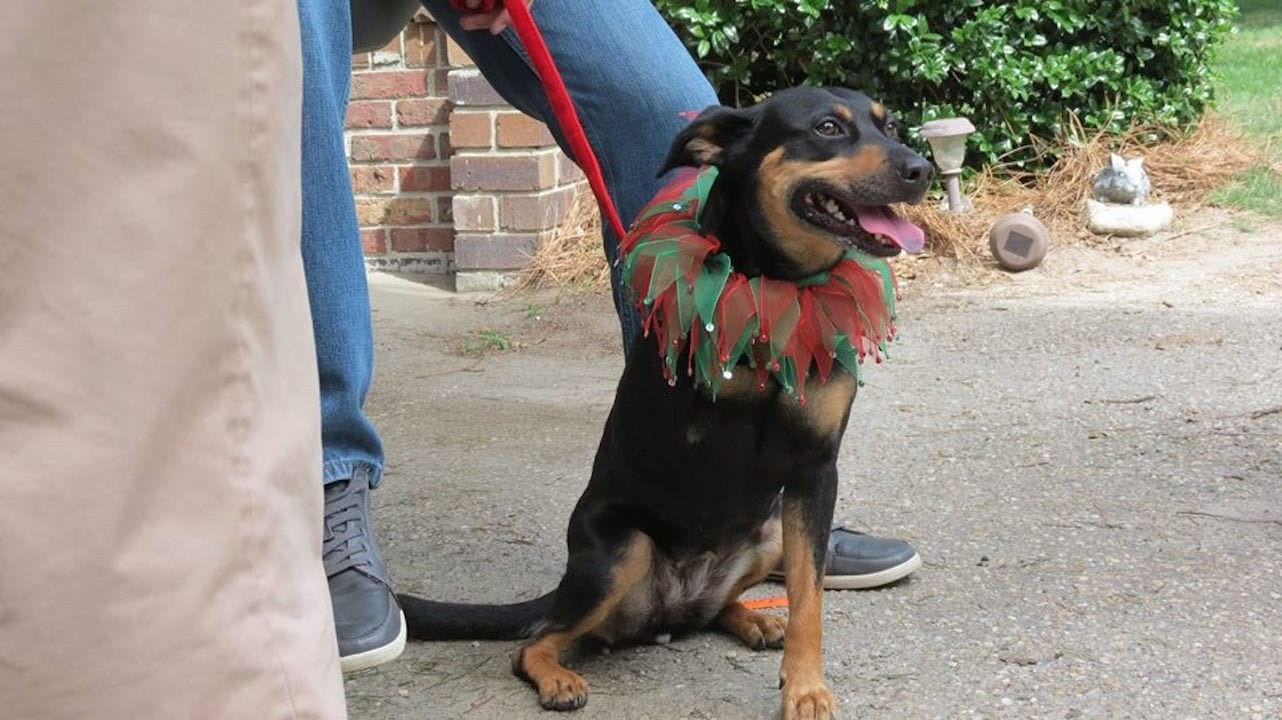 Foto de 12 DÍAS PARA NAVIDAD