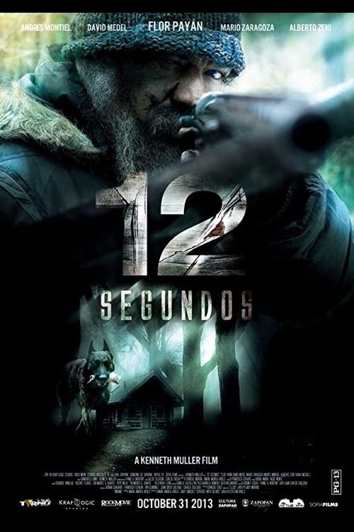 Poster de 12 SEGUNDOS