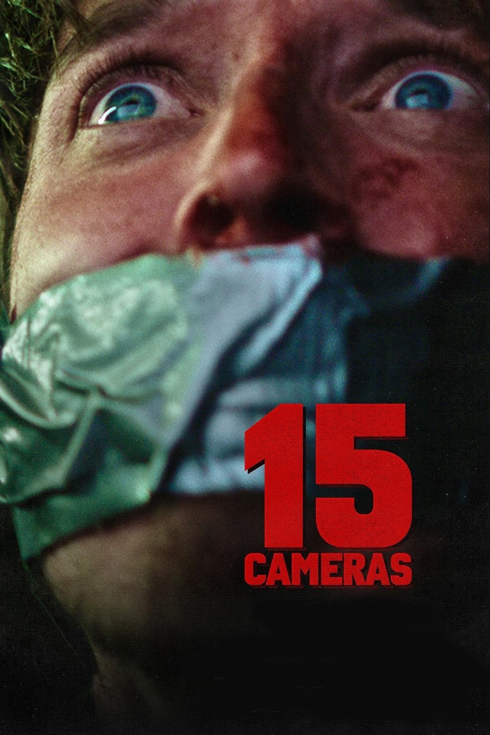 Poster de 15 CAMERAS