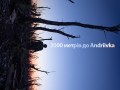 Foto de 2000 Meters to Andriivka