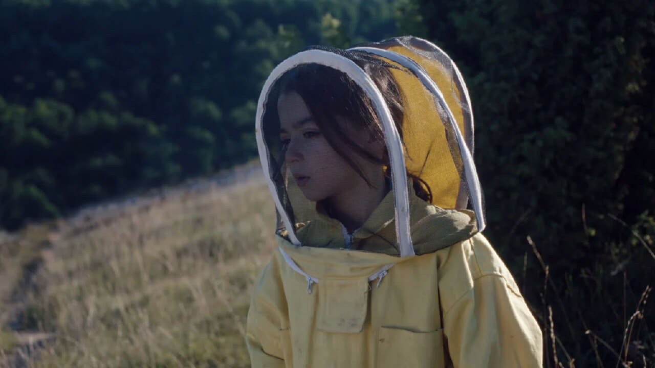 Foto de 20.000 ESPECIES DE ABEJAS