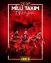 2008 Milli Takim Hikayesi