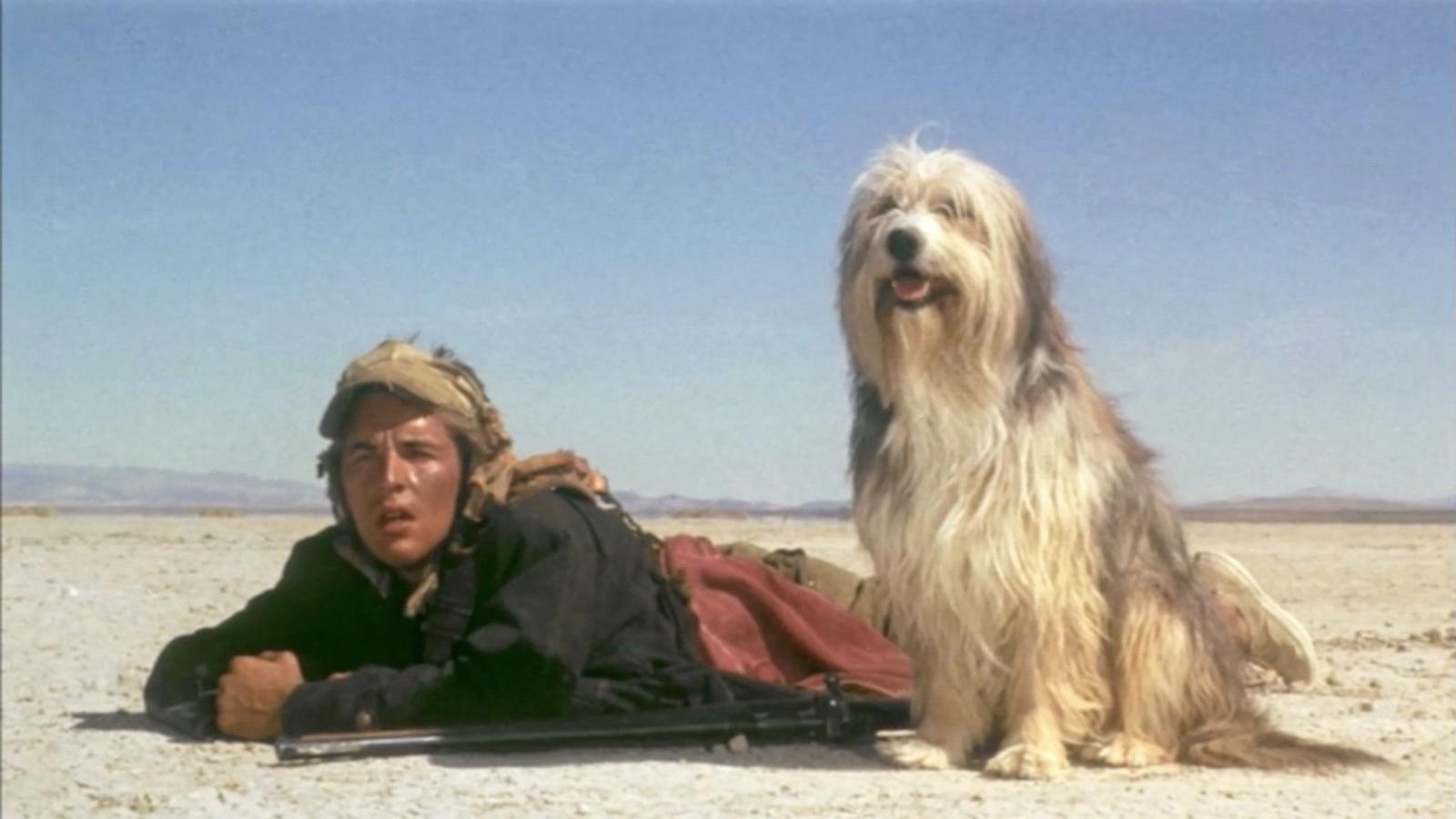 Foto de 2024: APOCALIPSIS NUCLEAR (UN MUCHACHO Y SU PERRO)
