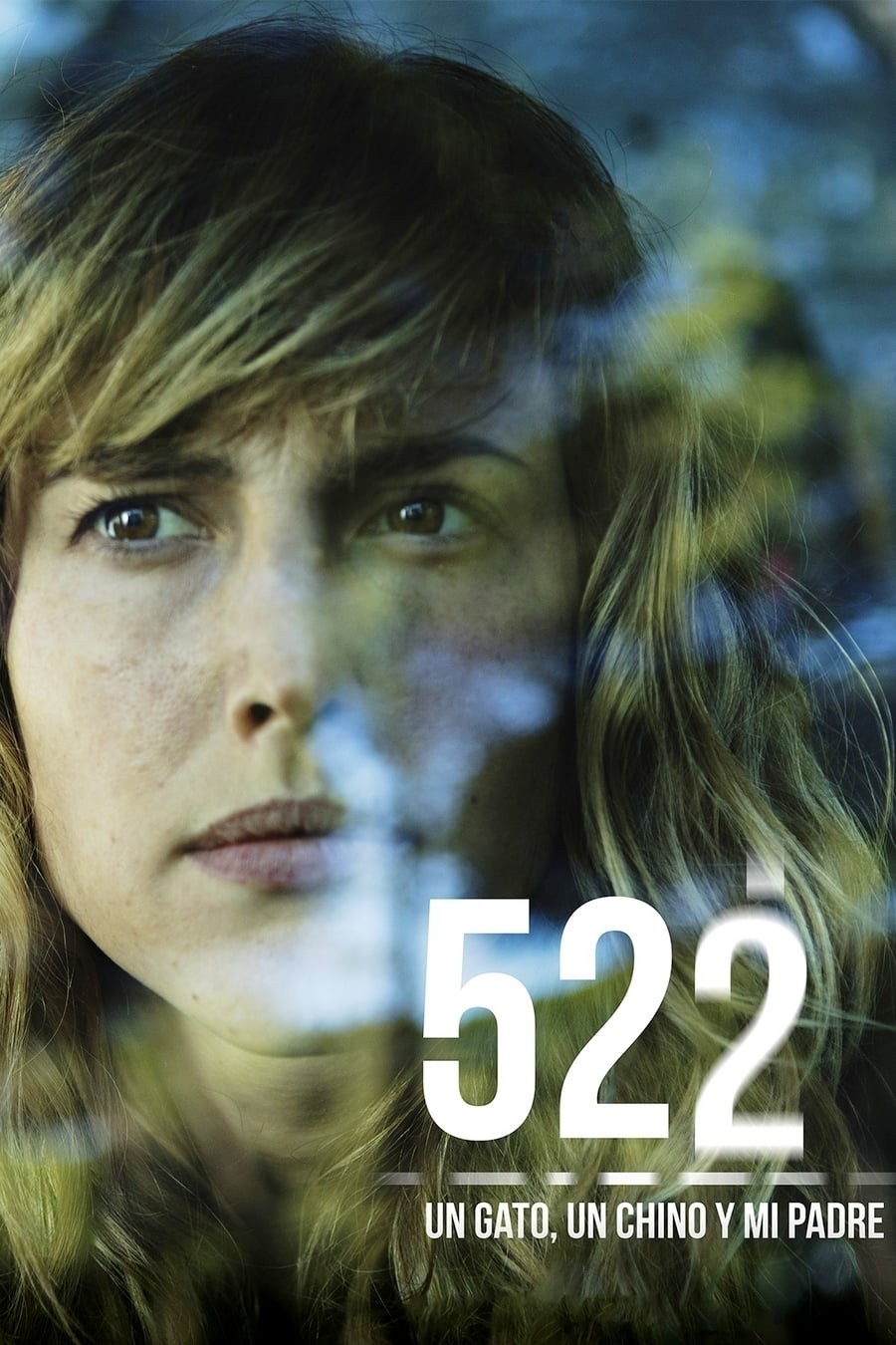 Poster de 522. UN GATO, UN CHINO Y MI PADRE en español