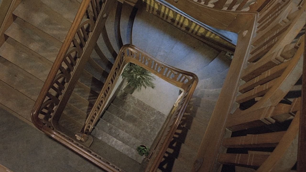 Foto de 6 SUECAS EN EL INTERNADO