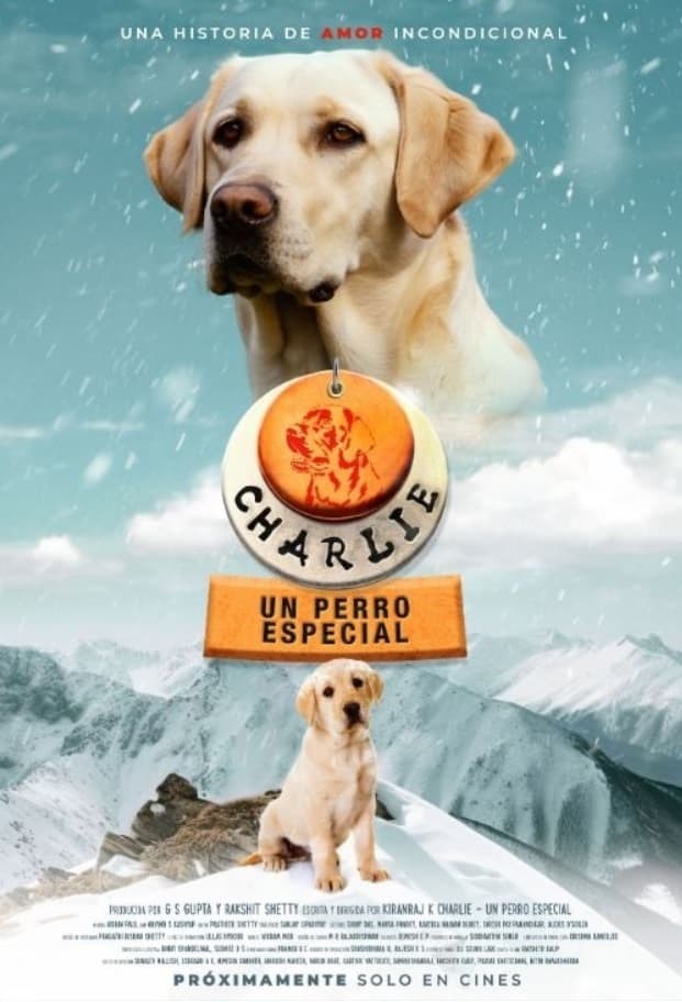 Poster de 777 CHARLIE en español