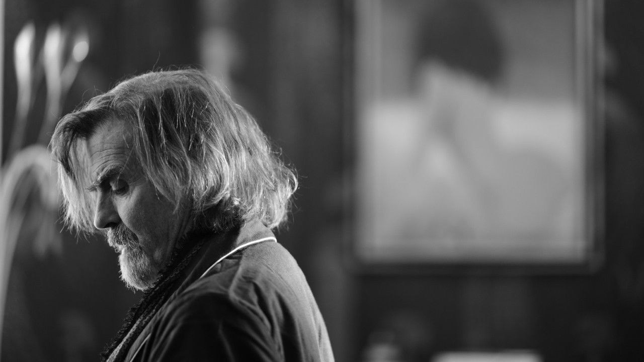 Foto de A BIRD FLEW IN