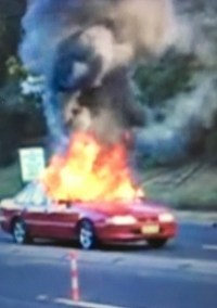 Película A Crackup at the Race Riots