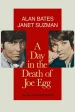 A Day in the Death of Joe Egg