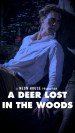 A Deer Lost in the Woods