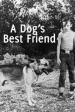 A Dog's Best Friend