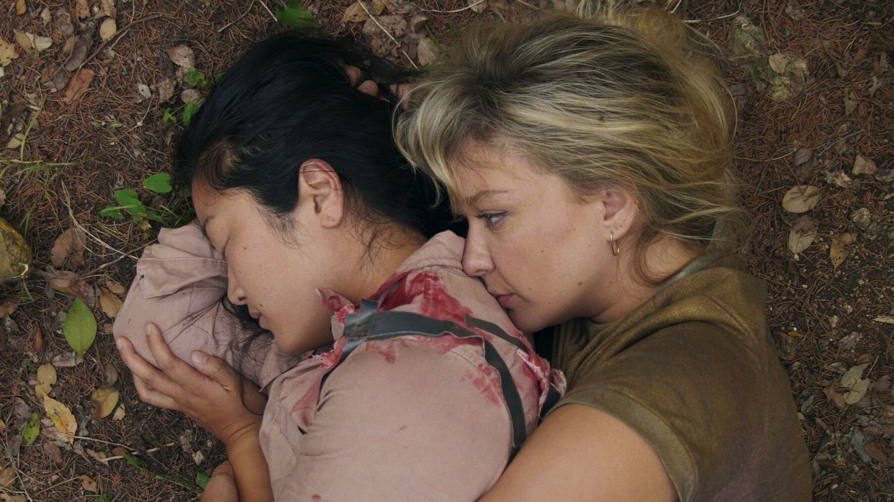 Foto de A GAME IN THE WOODS