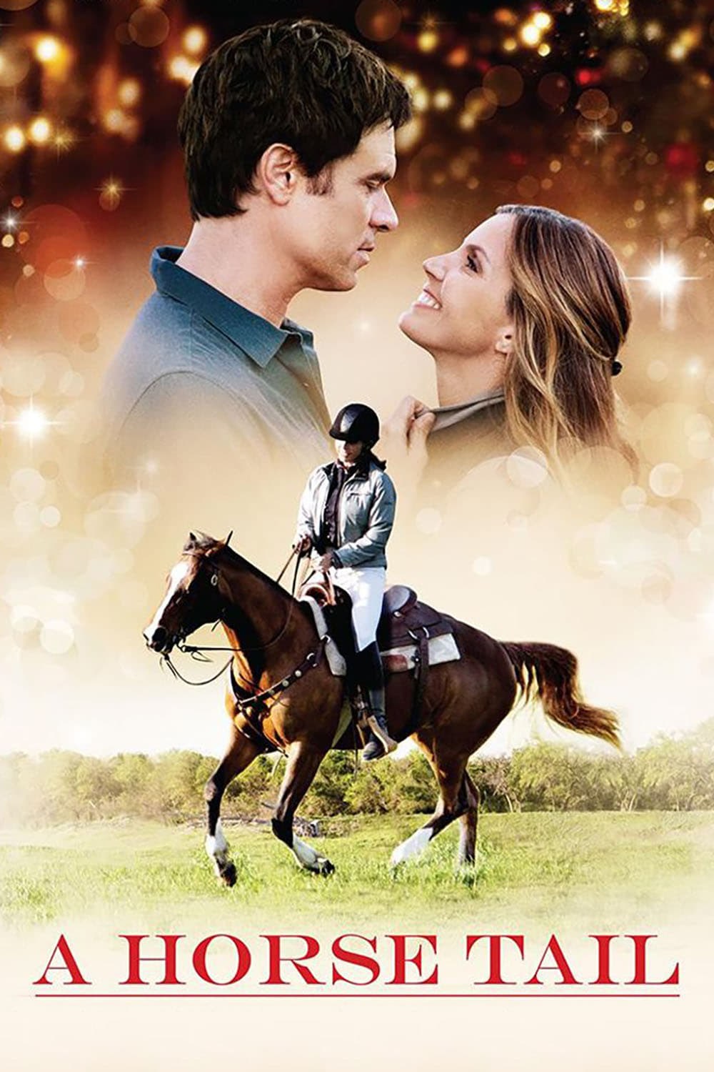 Poster de A HORSE TAIL en inglés