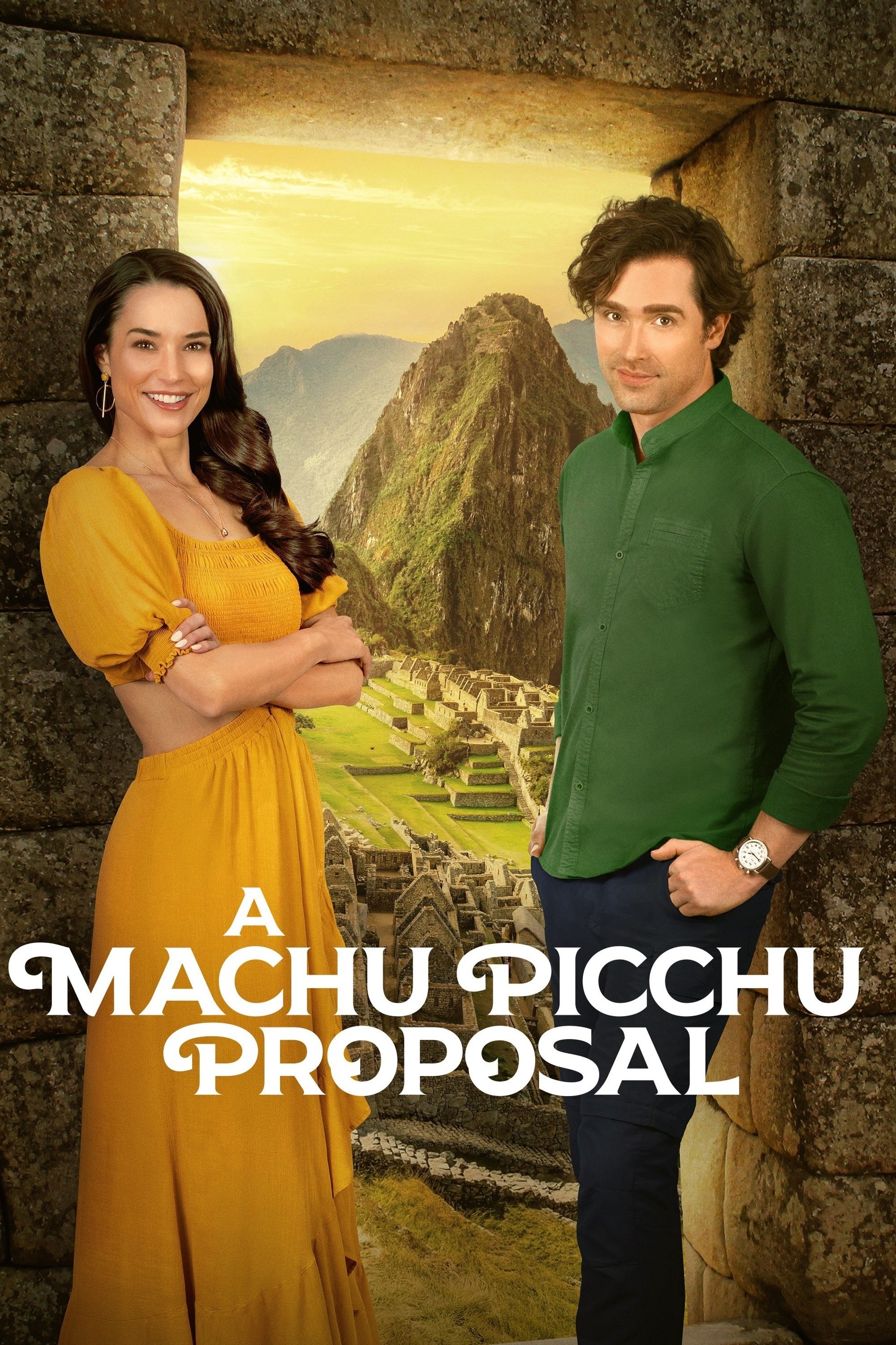 Poster de A MACHU PICCHU PROPOSAL en inglés
