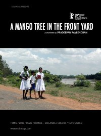 A Mango Tree in the Front Yard