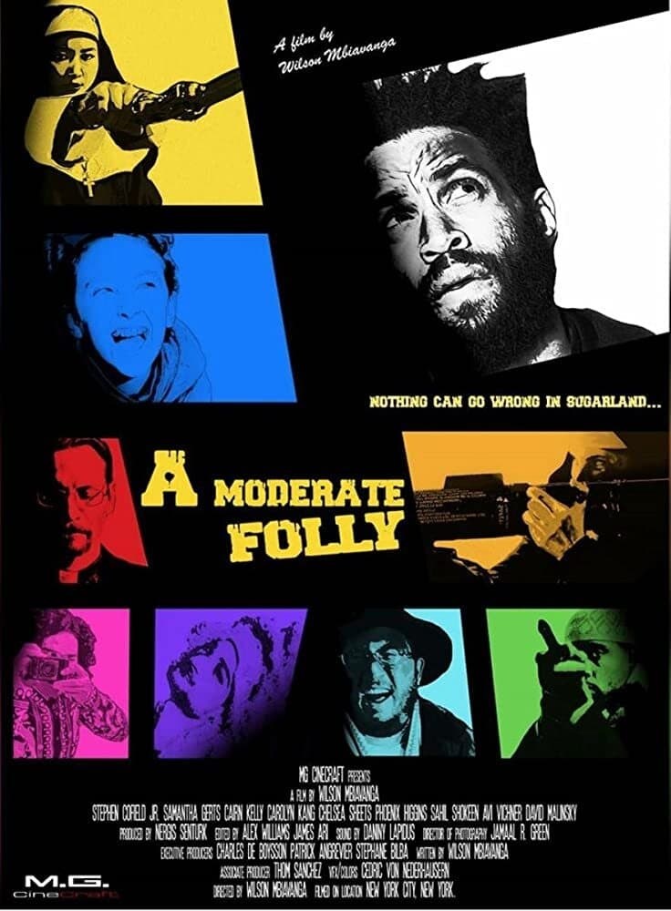 Poster de A MODERATE FOLLY
