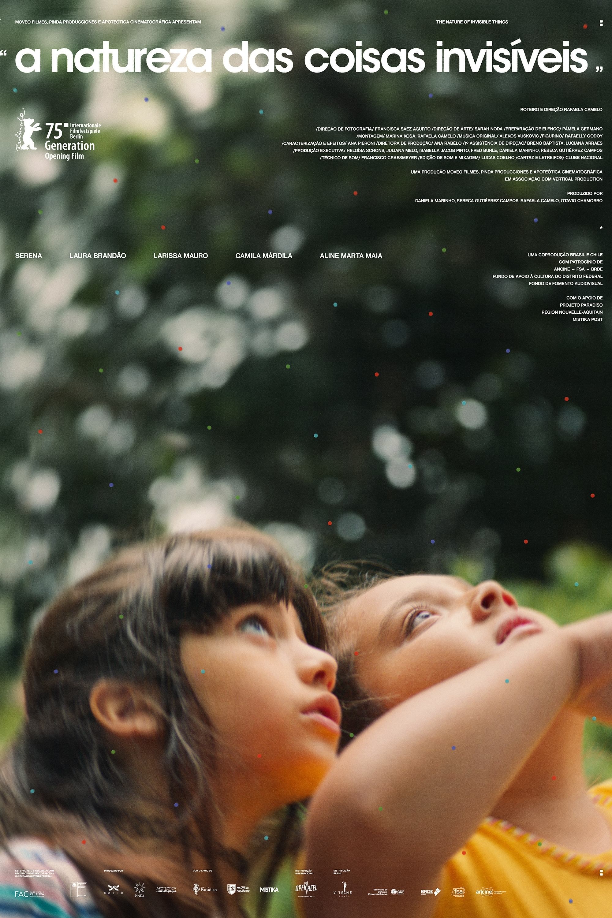 Poster de A NATUREZA DAS COISAS INVISÍVEIS