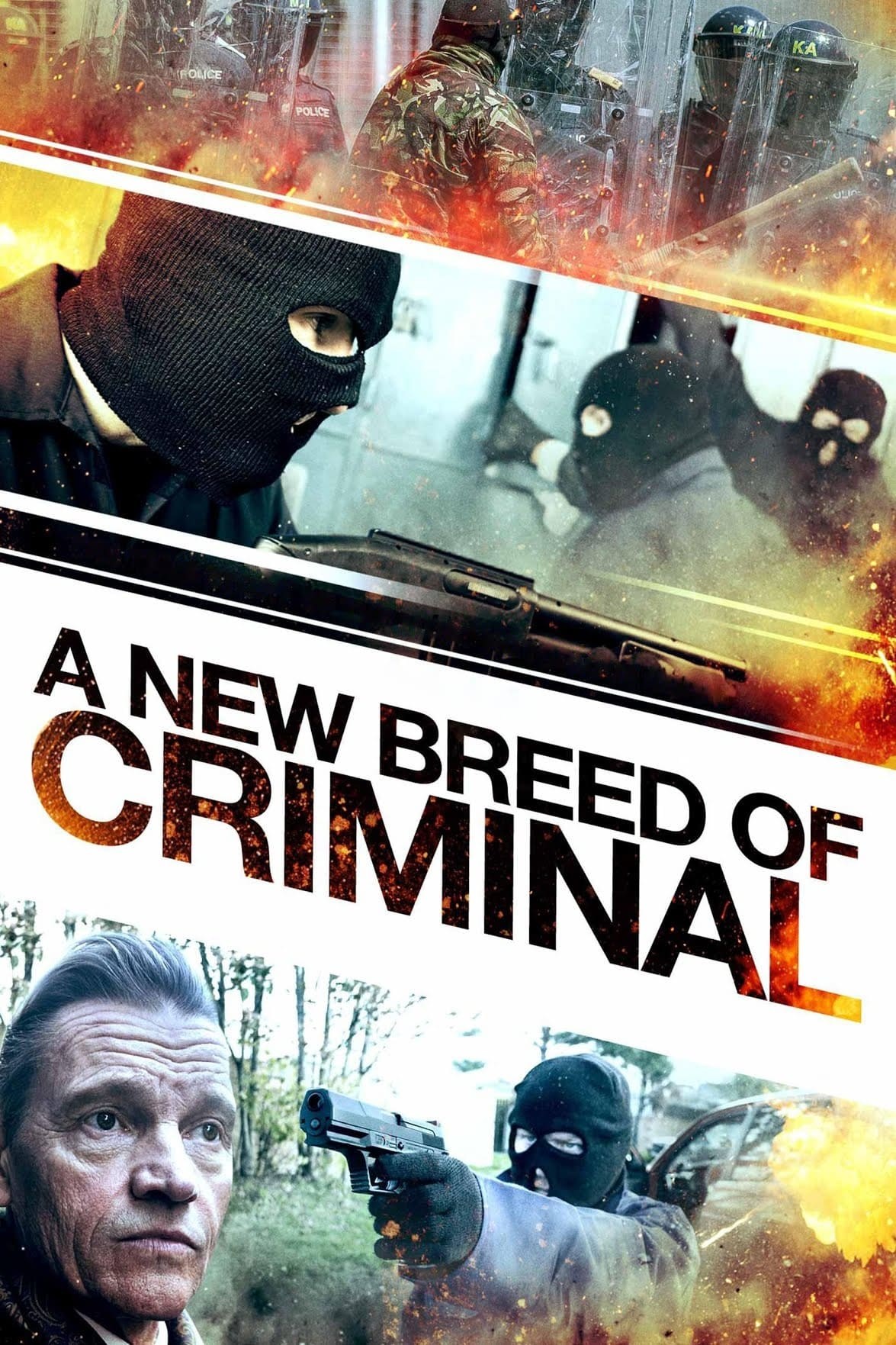 Poster de A NEW BREED OF CRIMINAL