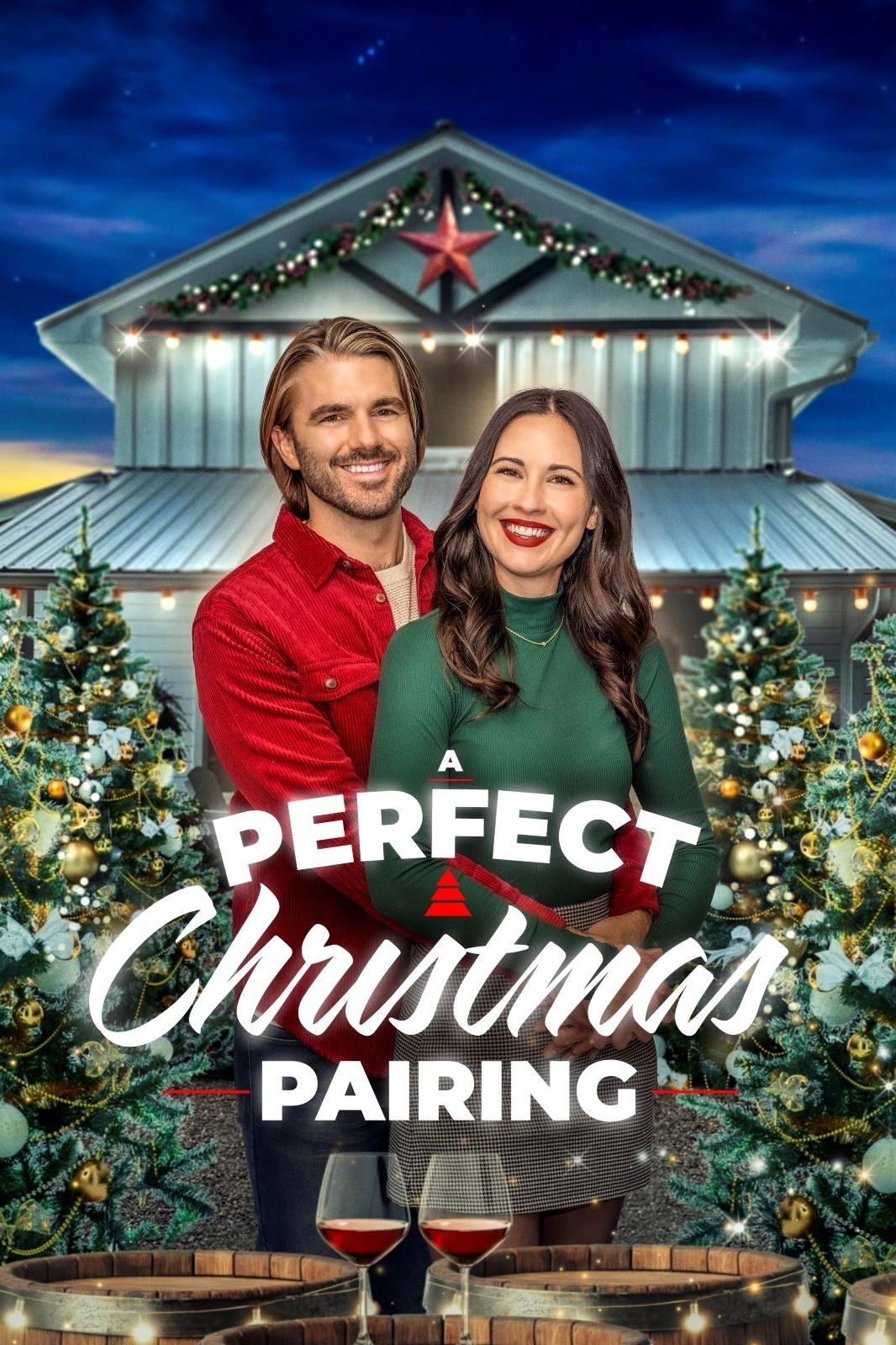 Poster de A PERFECT CHRISTMAS PAIRING en inglés