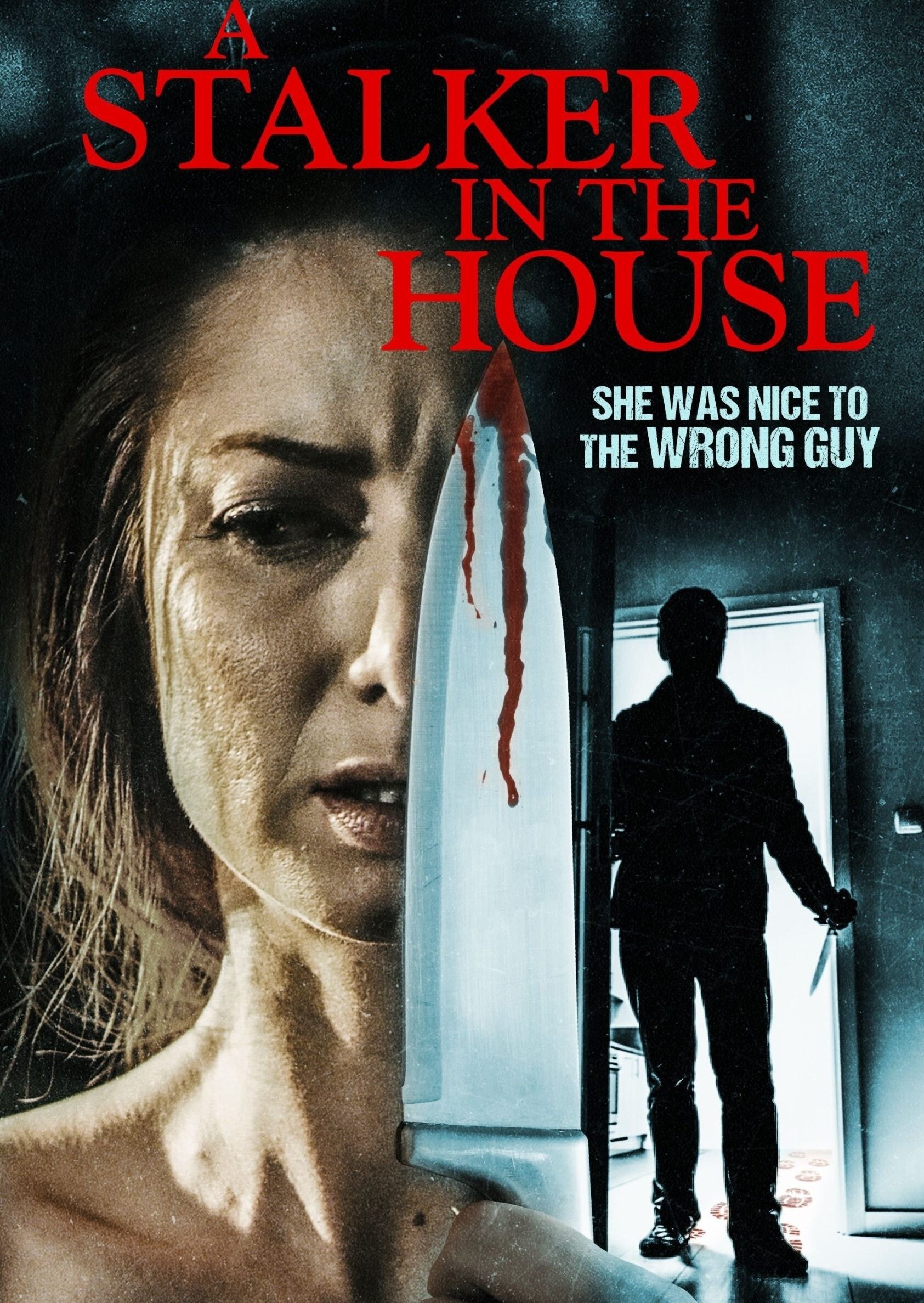 Poster de A STALKER IN THE HOUSE en inglés
