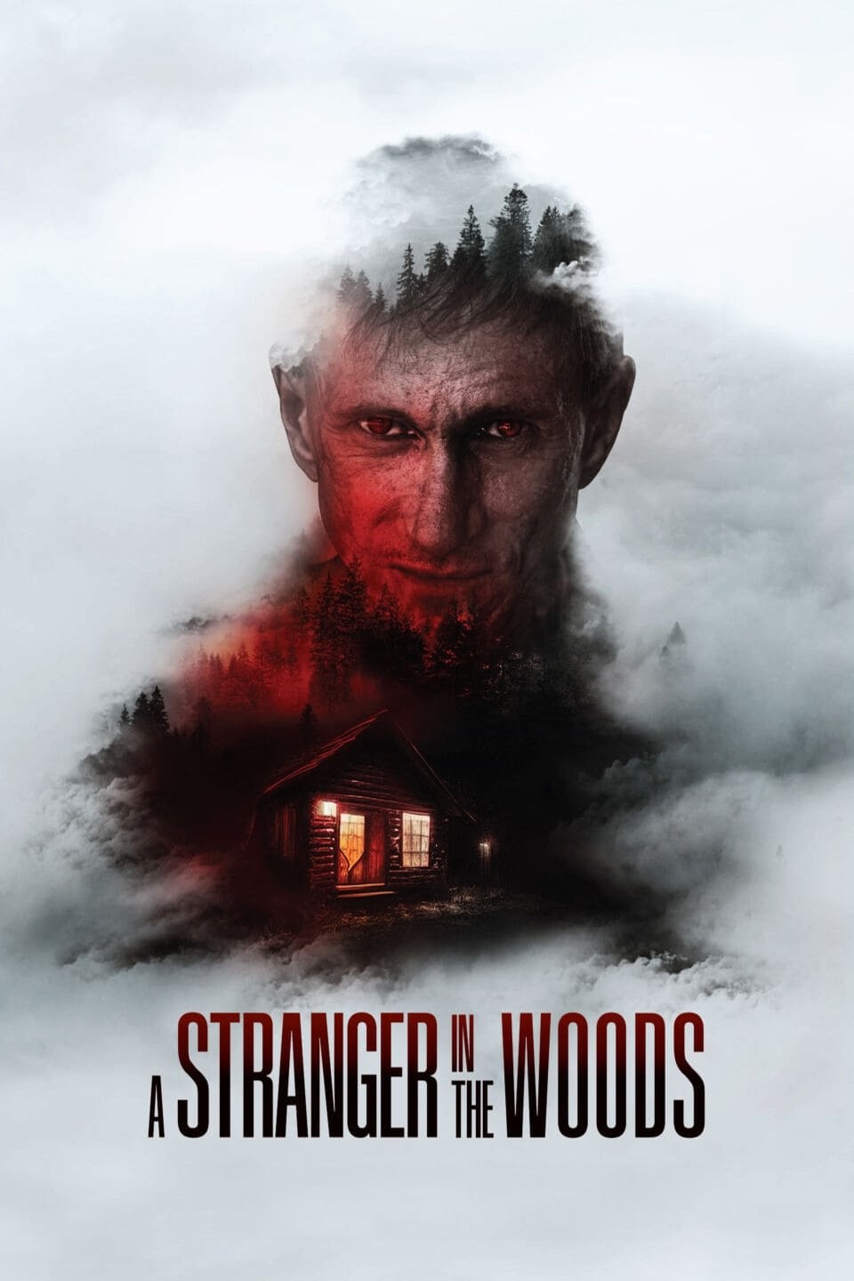 Poster de A STRANGER IN THE WOODS en inglés