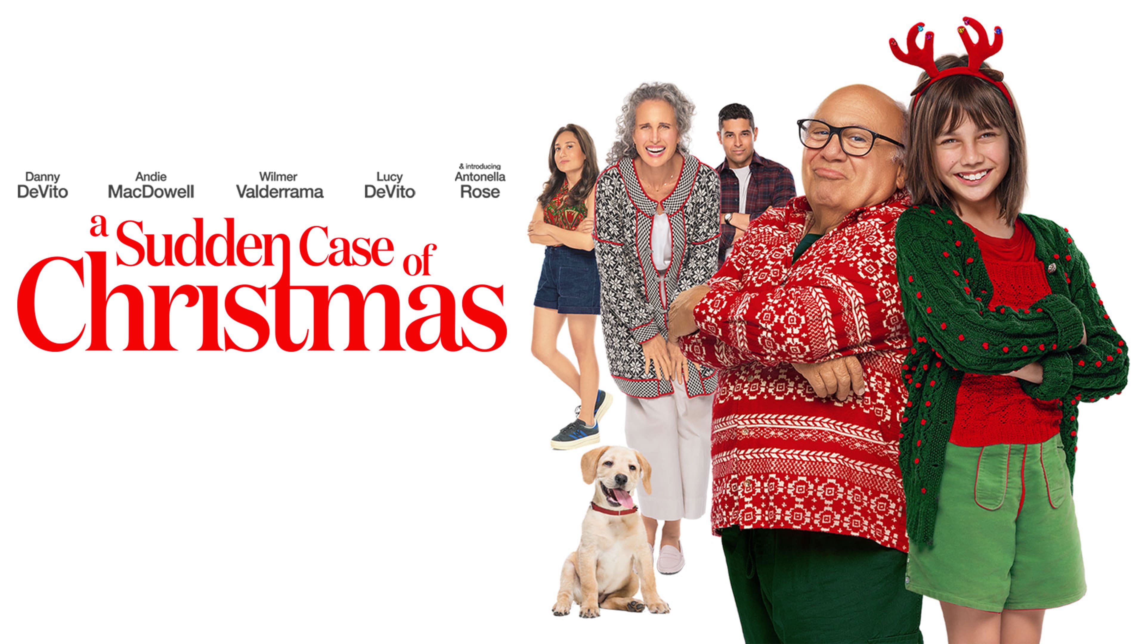 Foto de A SUDDEN CASE OF CHRISTMAS
