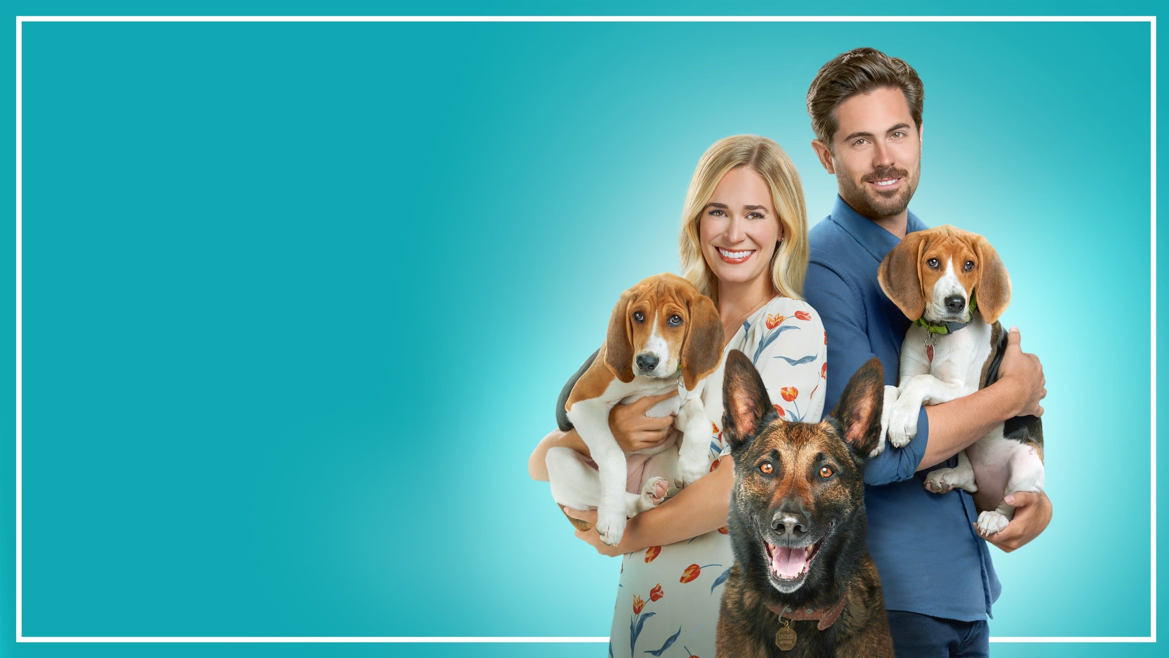 Foto de A TAIL OF LOVE