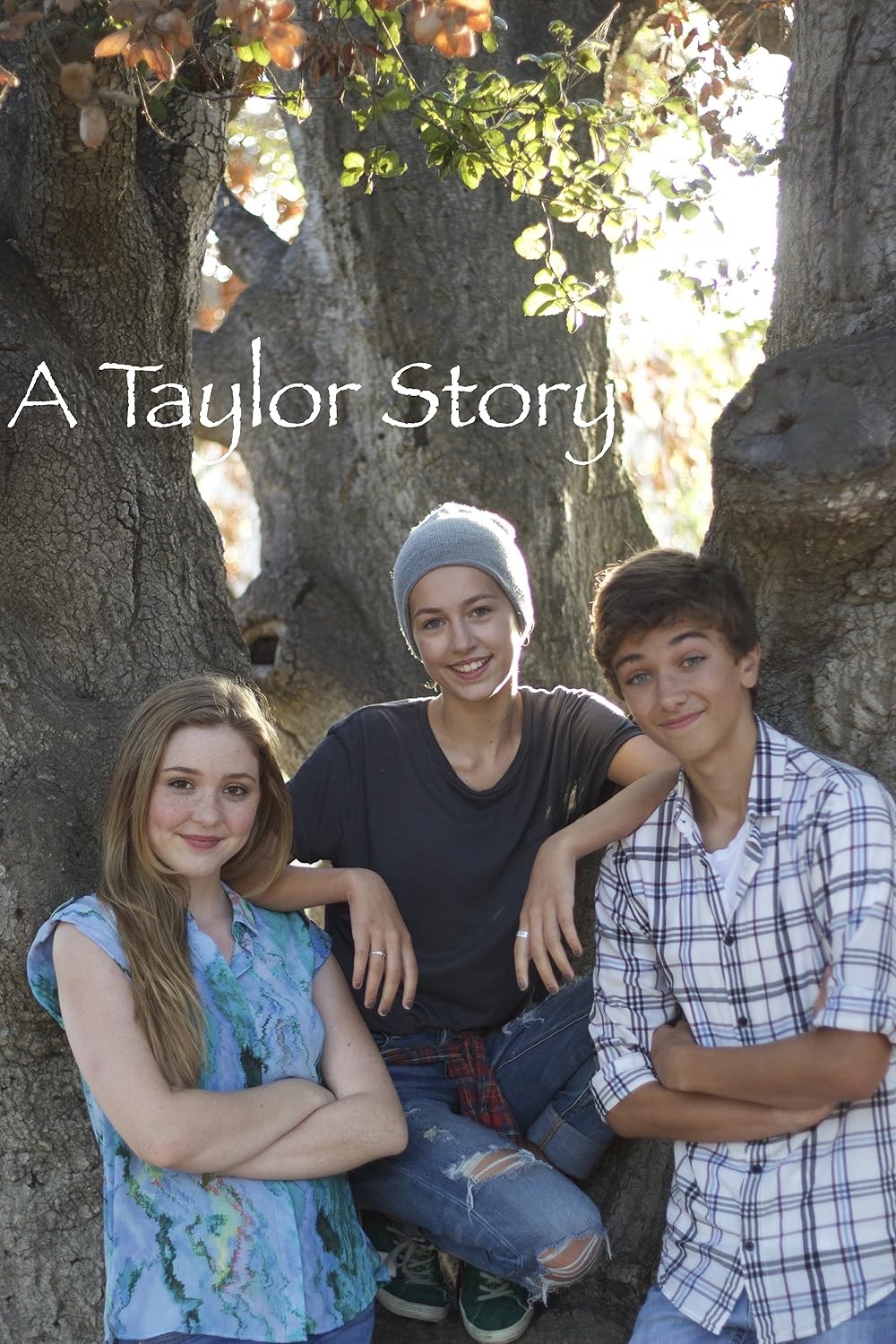 Poster de A TAYLOR STORY