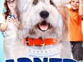 Foto de Abner, the Invisible Dog
