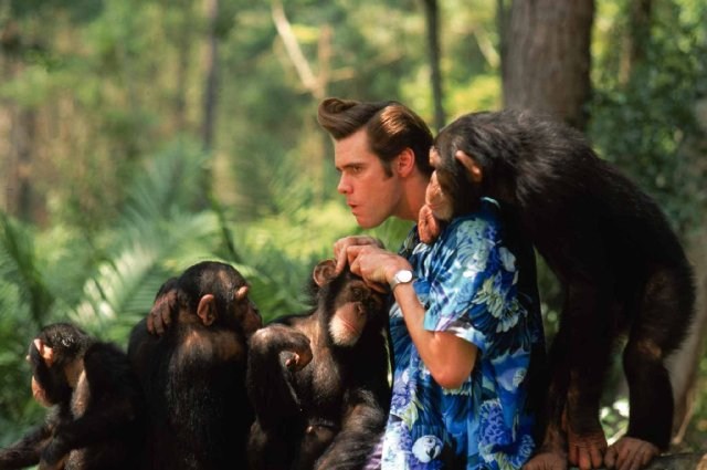 Foto de ACE VENTURA: OPERACIÓN ÁFRICA