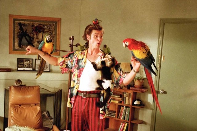 Foto de ACE VENTURA, UN DETECTIVE DIFERENTE