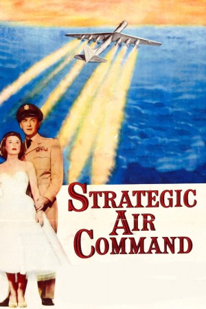Acorazados del aire