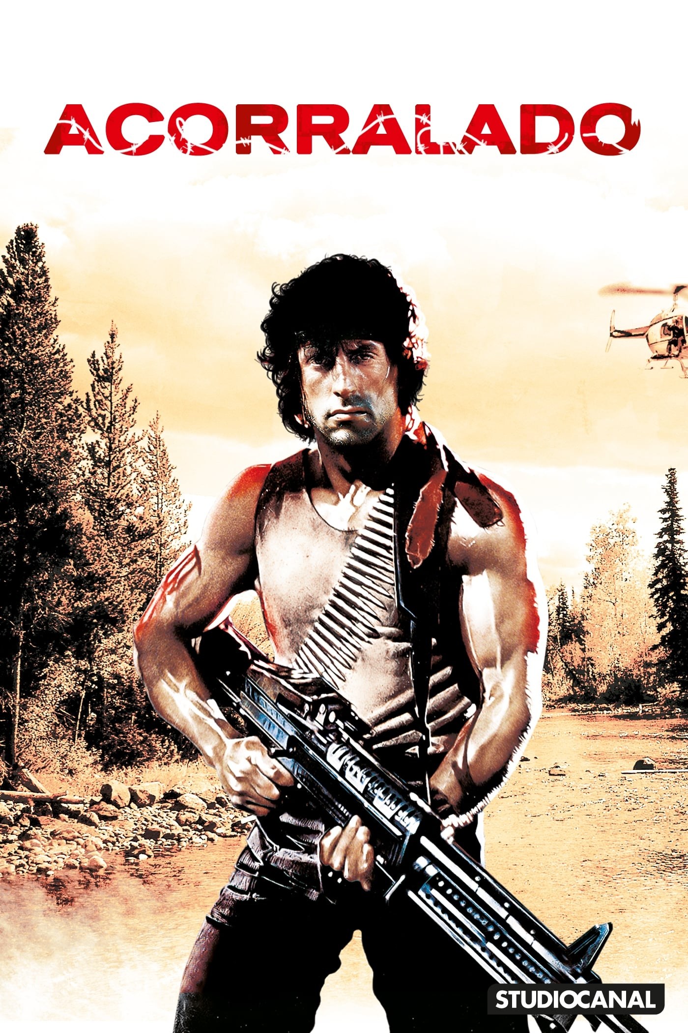 Poster de ACORRALADO en español