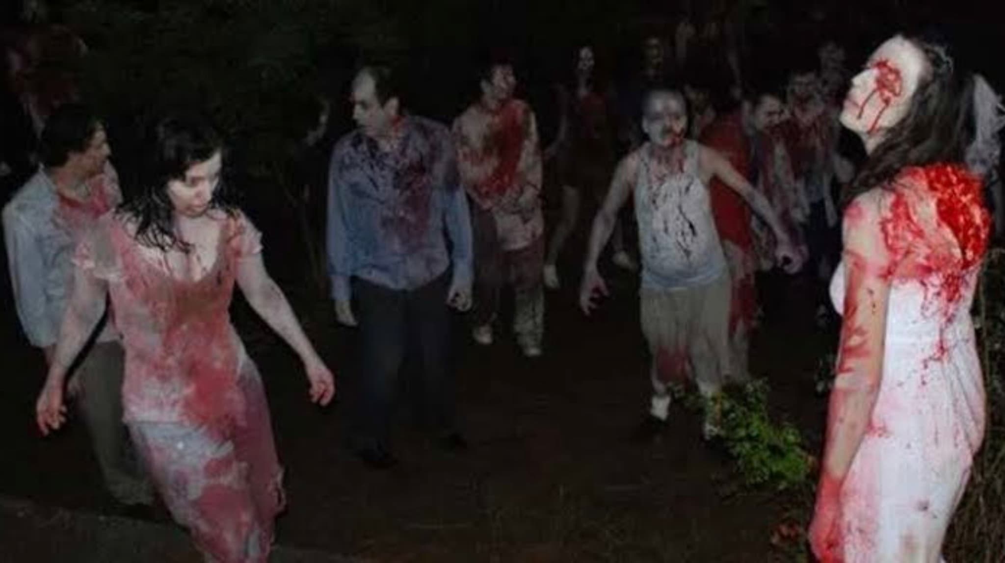 Foto de ADA: ZOMBILERIN DÜGÜNÜ