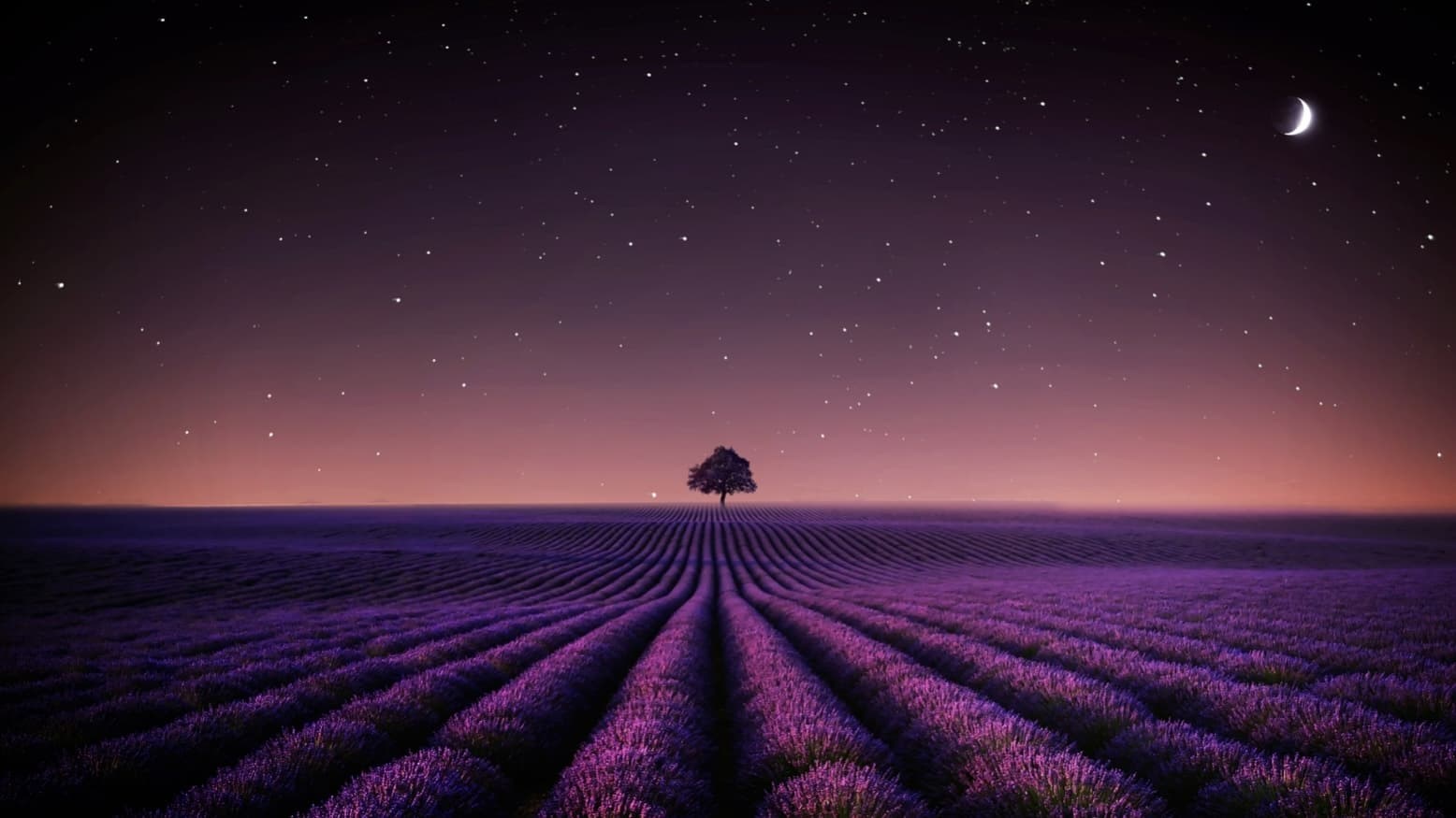 Foto de ADIEU AURORA