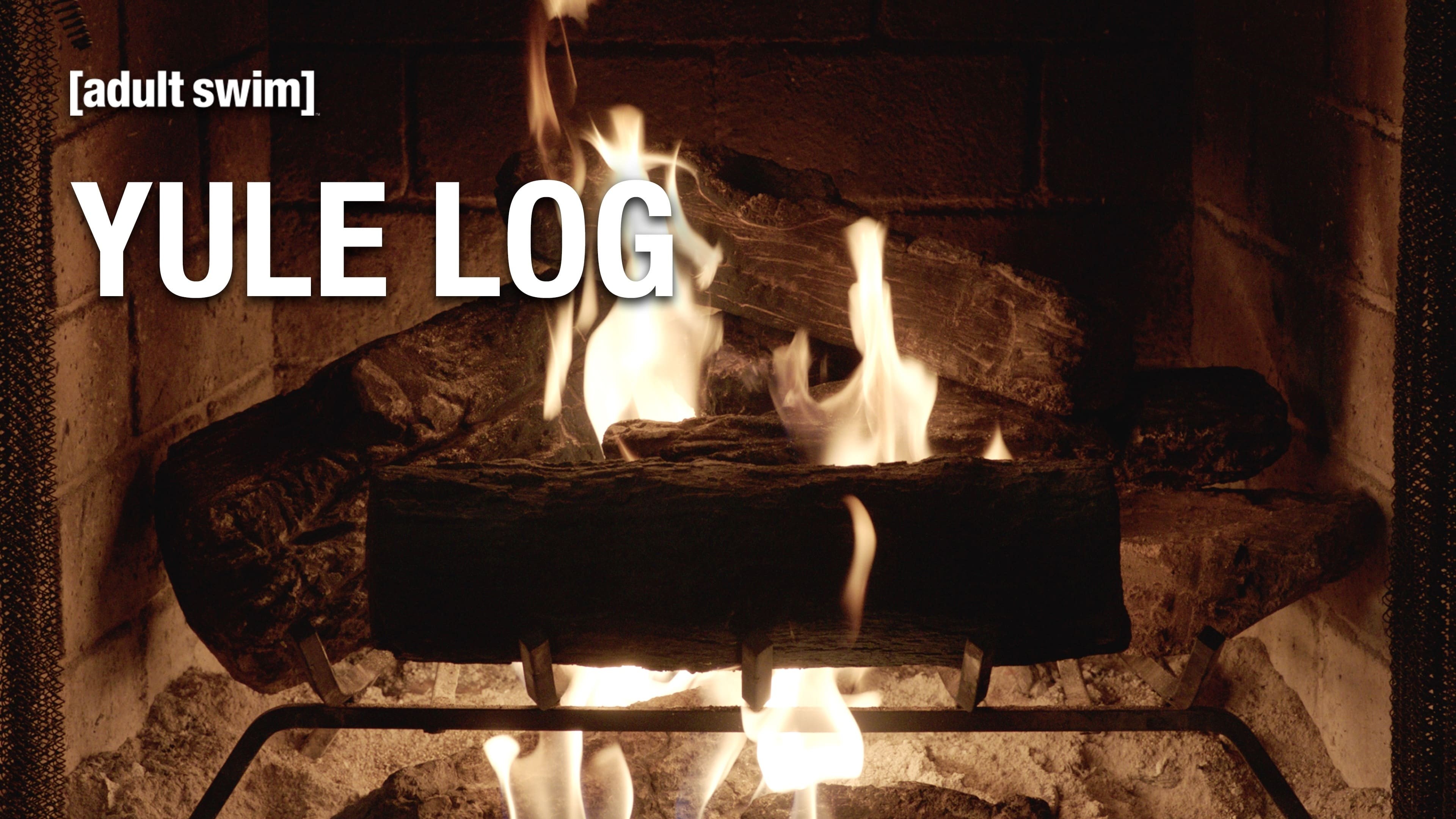 Foto de ADULT SWIM YULE LOG