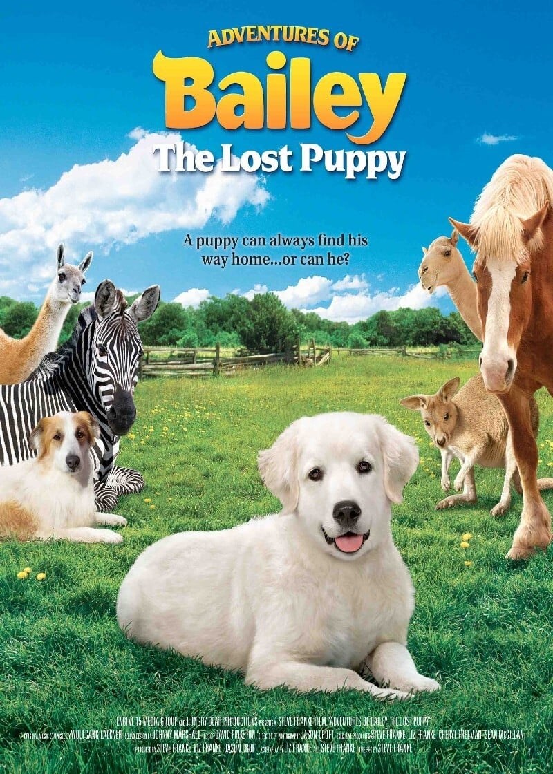 Poster de ADVENTURES OF BAILEY: THE LOST PUPPY