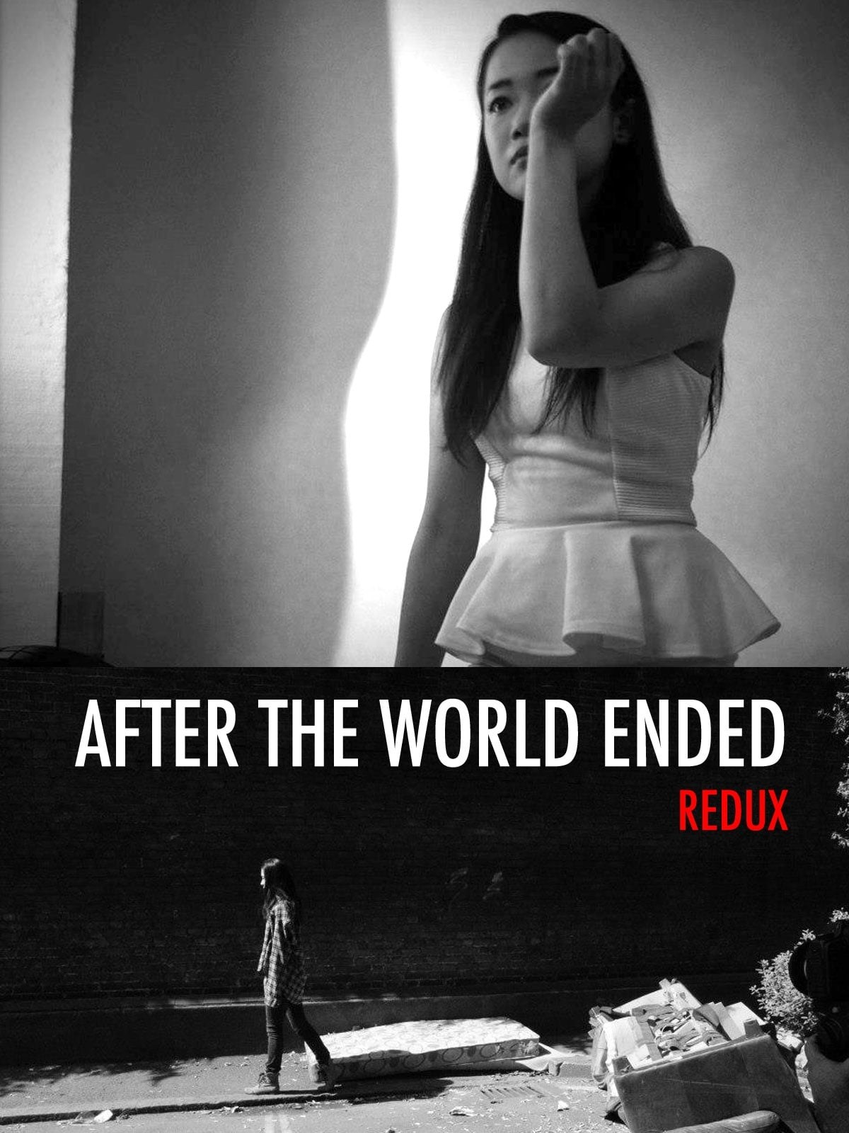 Poster de AFTER THE WORLD ENDED en inglés