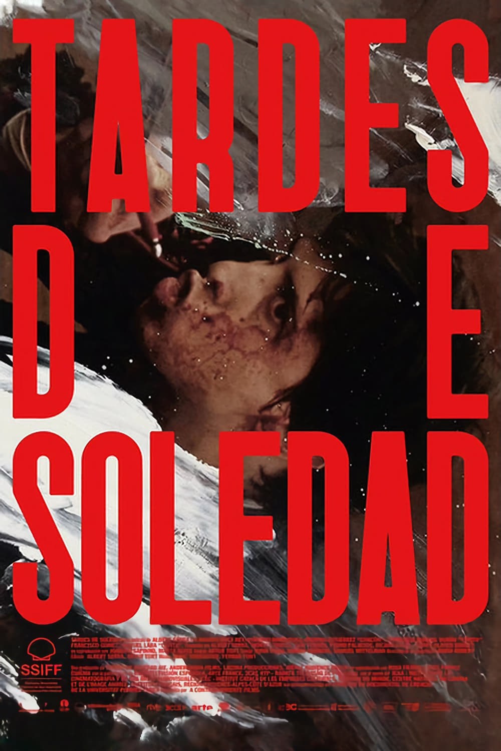 Poster de TARDES DE SOLEDAD en español