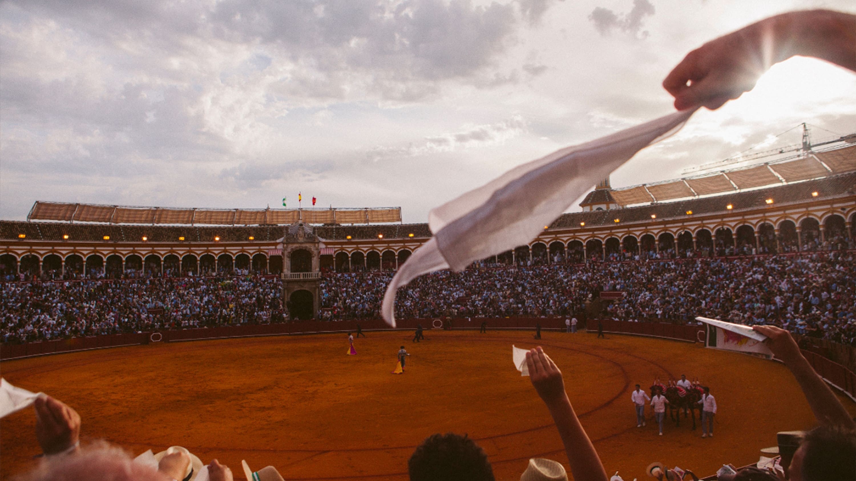 Foto de TARDES DE SOLEDAD